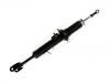 Shock Absorber:56110-CD700