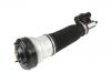 Amortiguador Shock Absorber:220 320 22 38