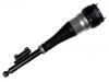 Amortiguador Shock Absorber:222 320 60 01