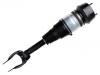 Amortiguador Shock Absorber:166 320 73 13